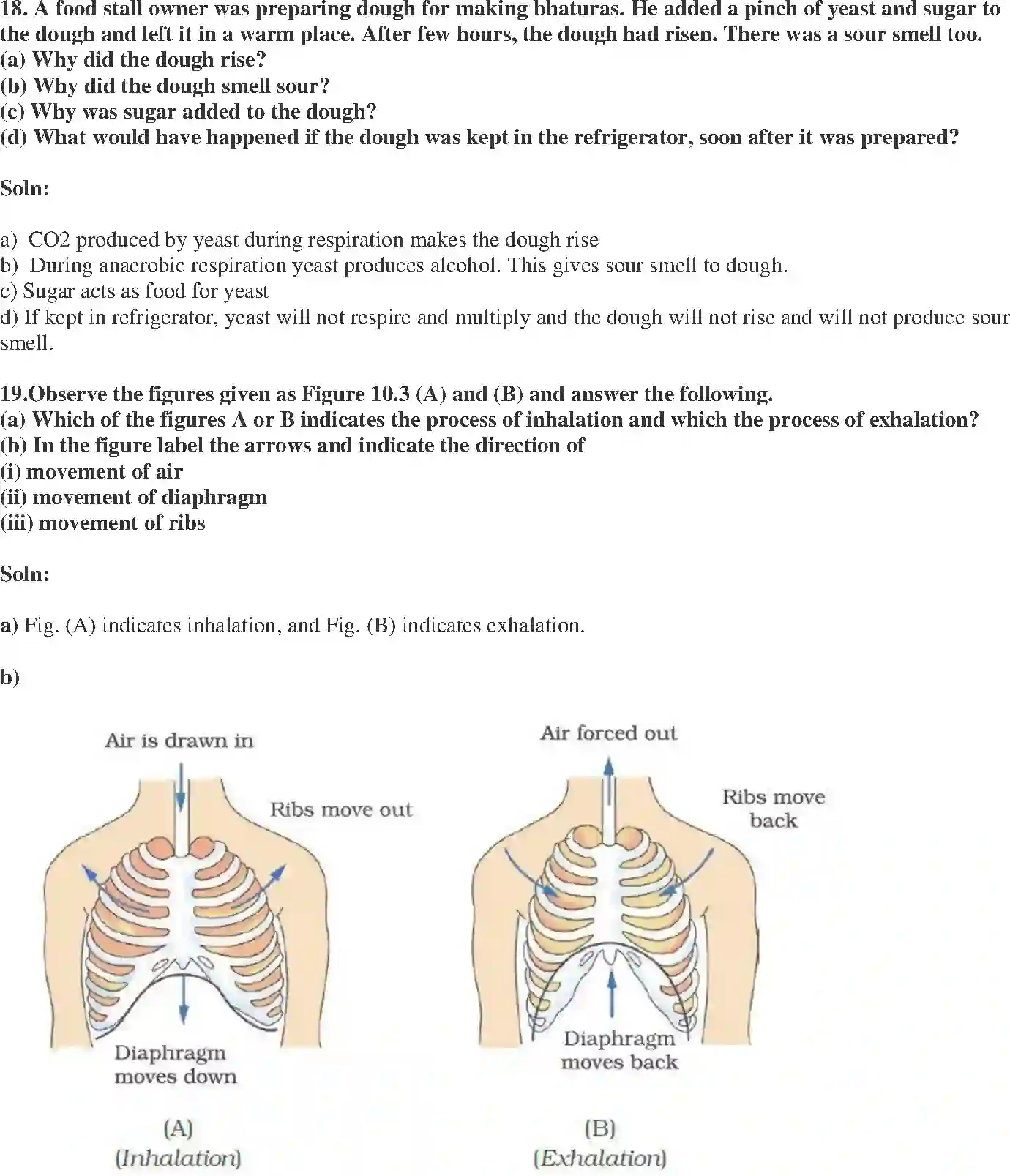 NCERT-Solution-Class-7-Science-Exemplar-Respiration-in-Organisms-Exemplar-3782-page-7