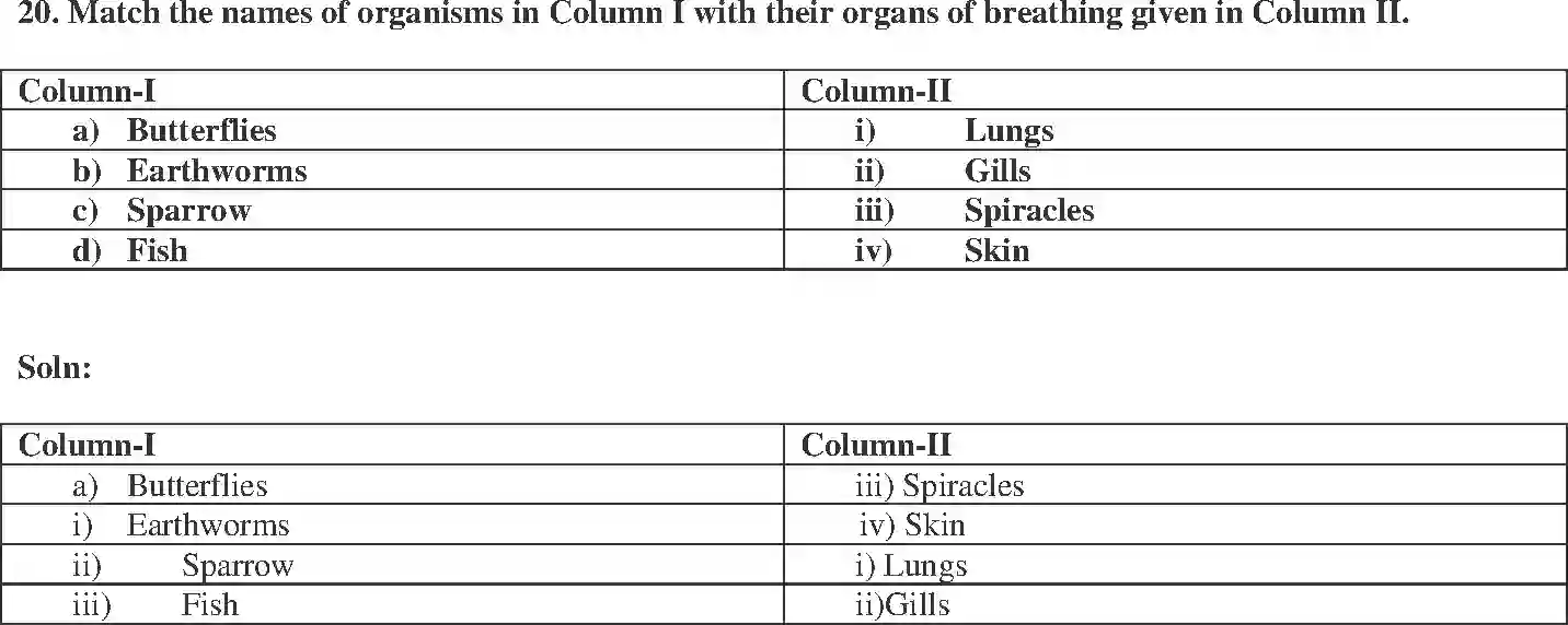 NCERT-Solution-Class-7-Science-Exemplar-Respiration-in-Organisms-Exemplar-3782-page-8