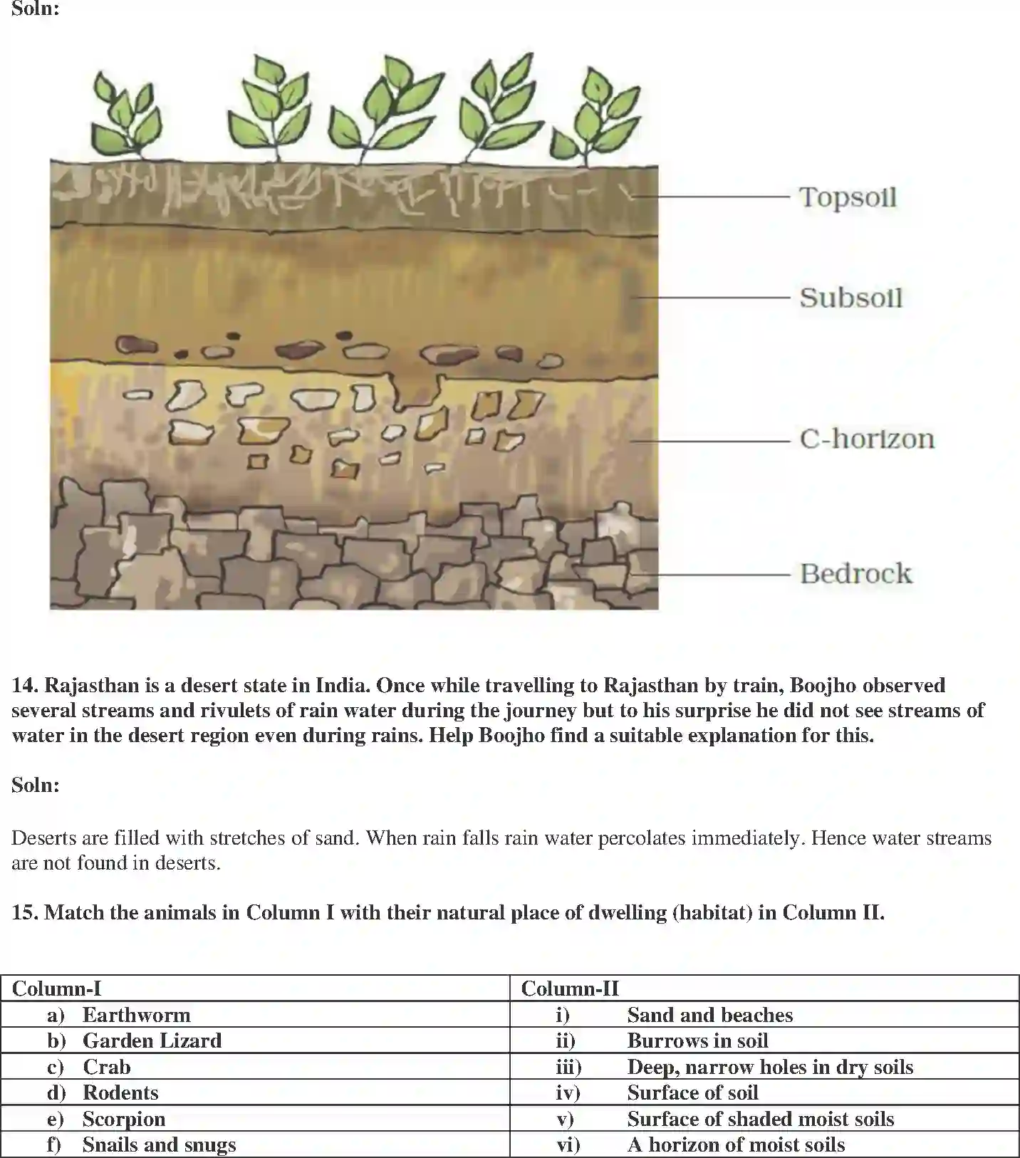 NCERT-Solution-Class-7-Science-Exemplar-Soil-Exemplar-3781-page-5
