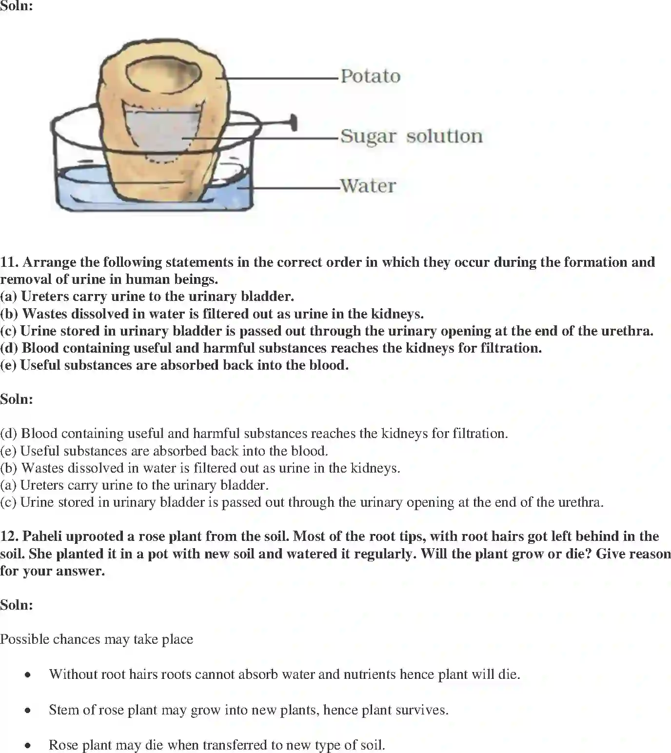 NCERT-Solution-Class-7-Science-Exemplar-Transportation-in-Animals-and-Plants-Exemplar-3783-page-4