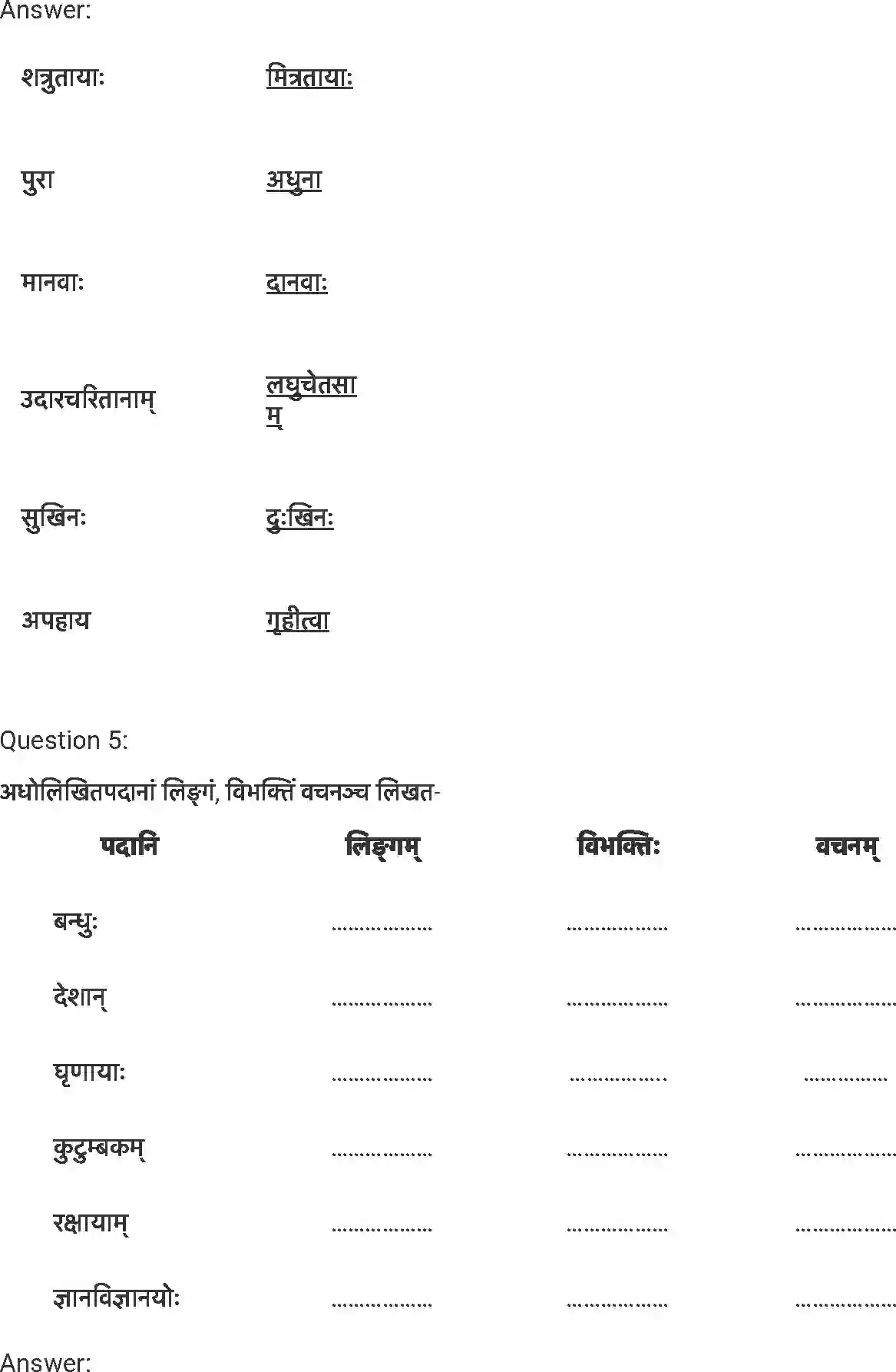 NCERT-Solution-Class-7-संस्कृत-विश्वबन्धुत्वम्-5253-page-4