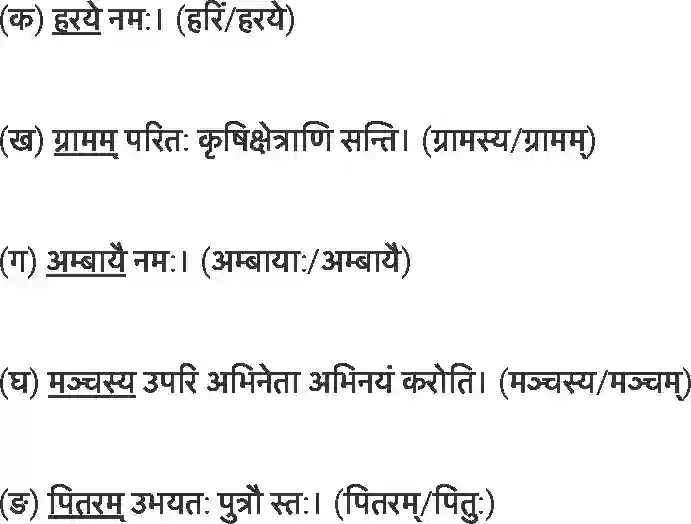NCERT-Solution-Class-7-संस्कृत-विश्वबन्धुत्वम्-5253-page-7