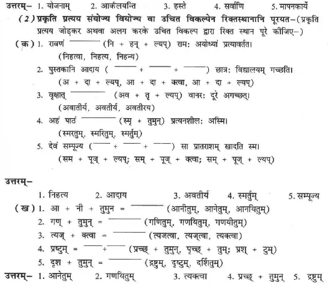 NCERT-Solution-Class-8-Sanskrit-Ruchira-Chapter-8-Sansaarasaagarasy-Naayakaah-3580-page-5
