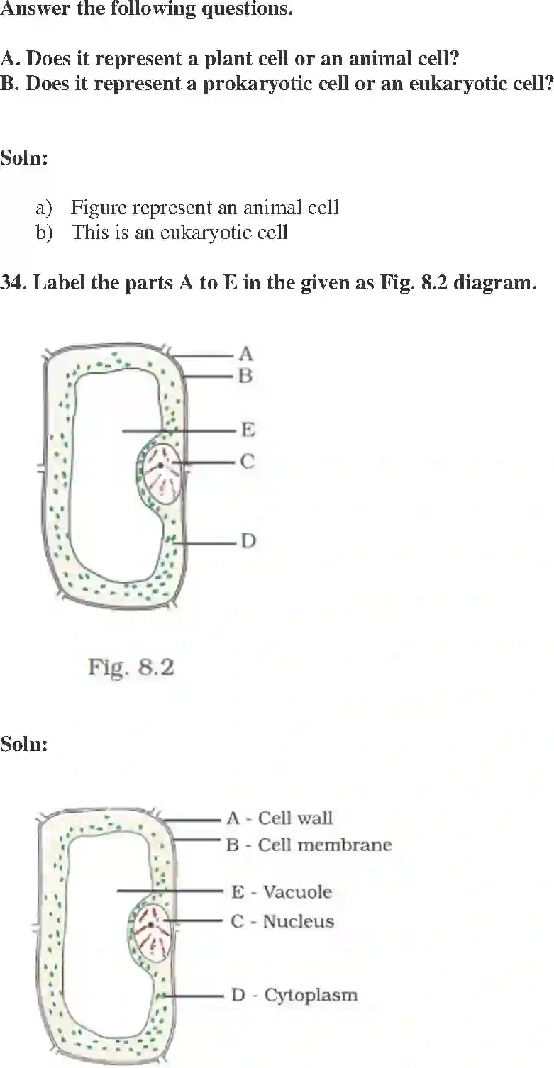 NCERT-Solution-Class-8-Science-Exemplar-Cell-Structure-and-Functions-Exemplar-1452-page-11