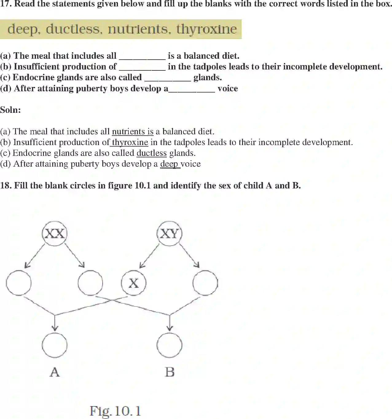NCERT-Solution-Class-8-Science-Exemplar-Reaching-the-Age-of-Adolescence-Exemplar-3626-page-6