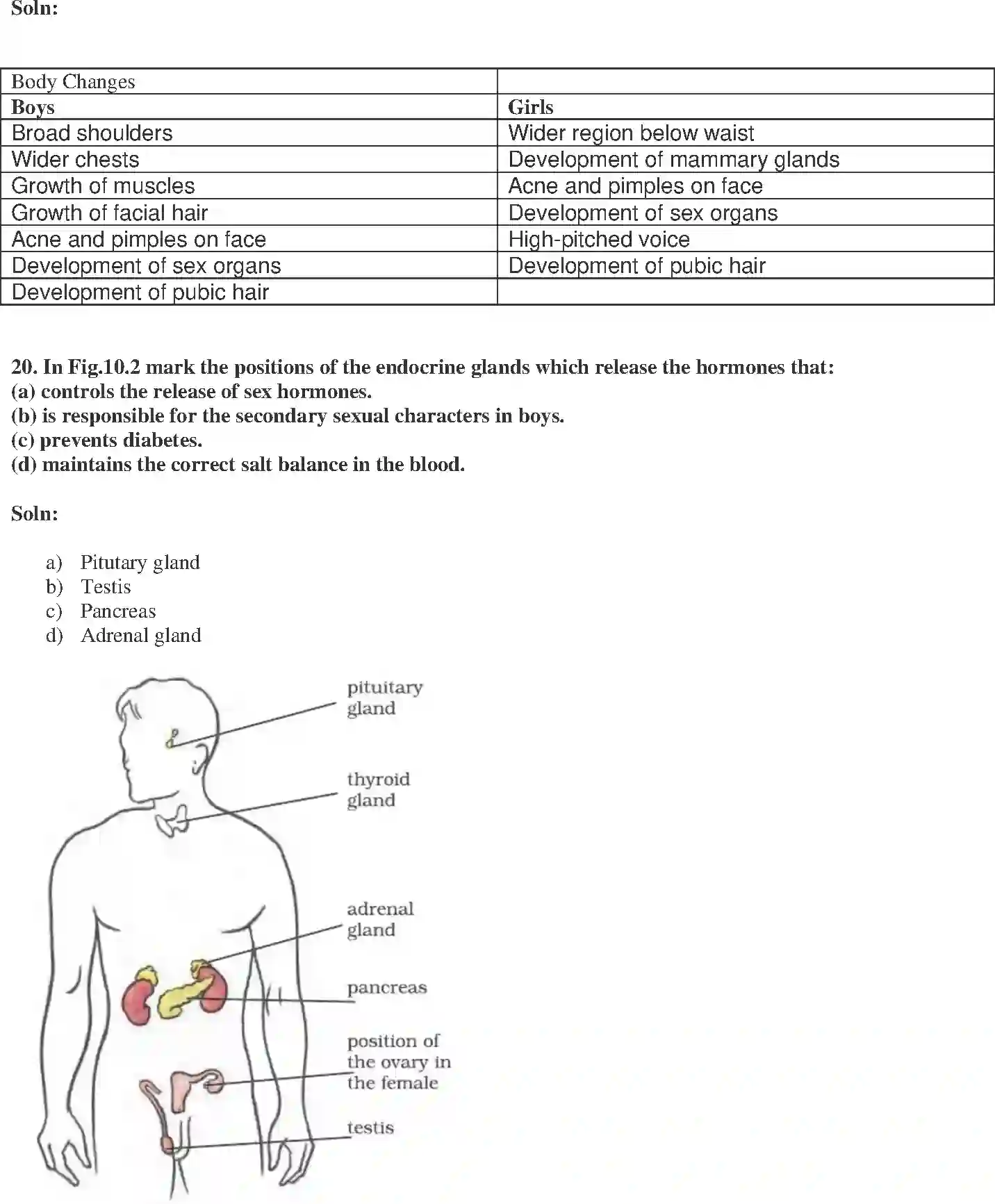 NCERT-Solution-Class-8-Science-Exemplar-Reaching-the-Age-of-Adolescence-Exemplar-3626-page-8