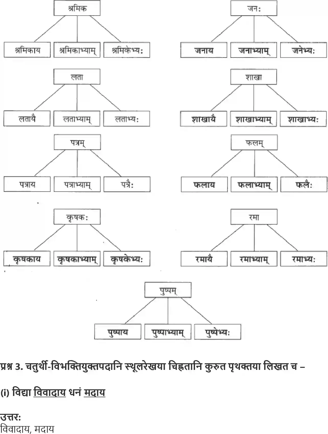 NCERT-Solution-Class-9-Abhyasvan-Bhav-Karkopapadvibhakti-1266-page-11
