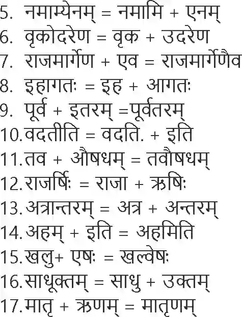 NCERT-Solution-Class-9-Abhyasvan-Bhav-Sandhi-1267-page-9