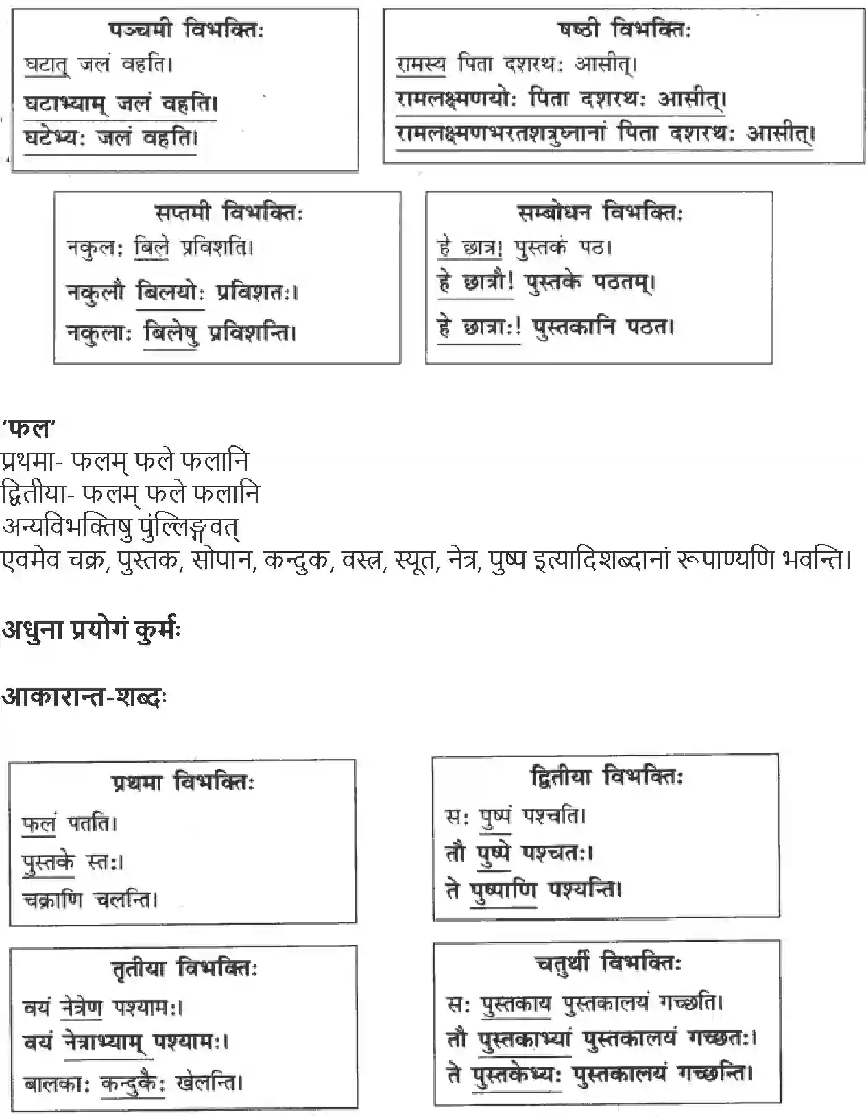 NCERT-Solution-Class-9-Abhyasvan-Bhav-Shabdrupani-3442-page-2