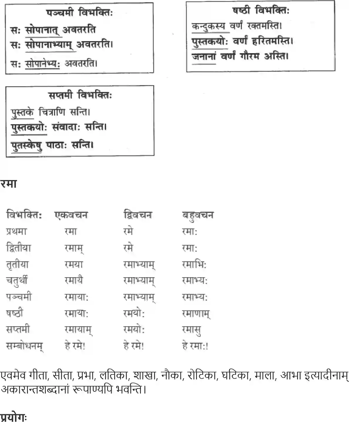 NCERT-Solution-Class-9-Abhyasvan-Bhav-Shabdrupani-3442-page-3