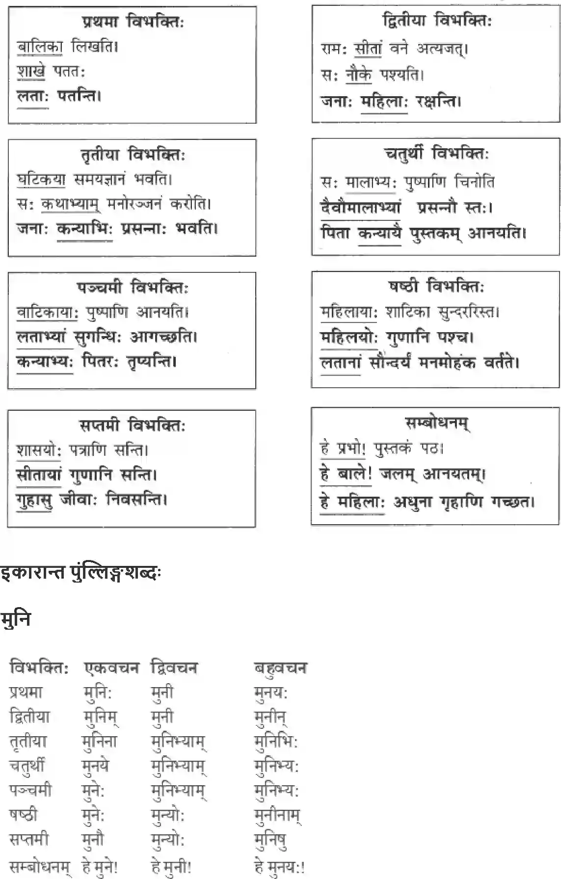 NCERT-Solution-Class-9-Abhyasvan-Bhav-Shabdrupani-3442-page-4