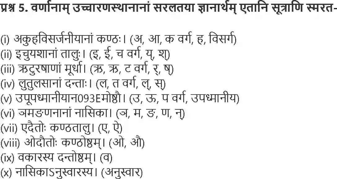 NCERT-Solution-Class-9-Abhyasvan-Bhav-Varn-Vichar-3444-page-5