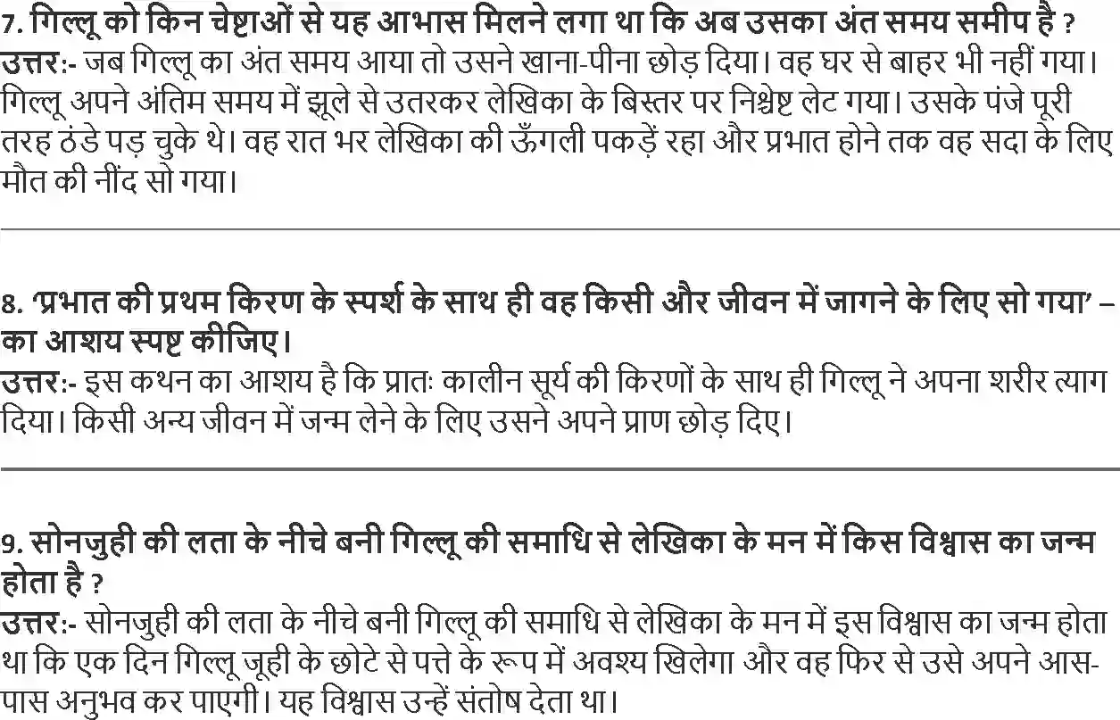 NCERT-Solution-Class-9-Hindi-Gillu-3252-page-2