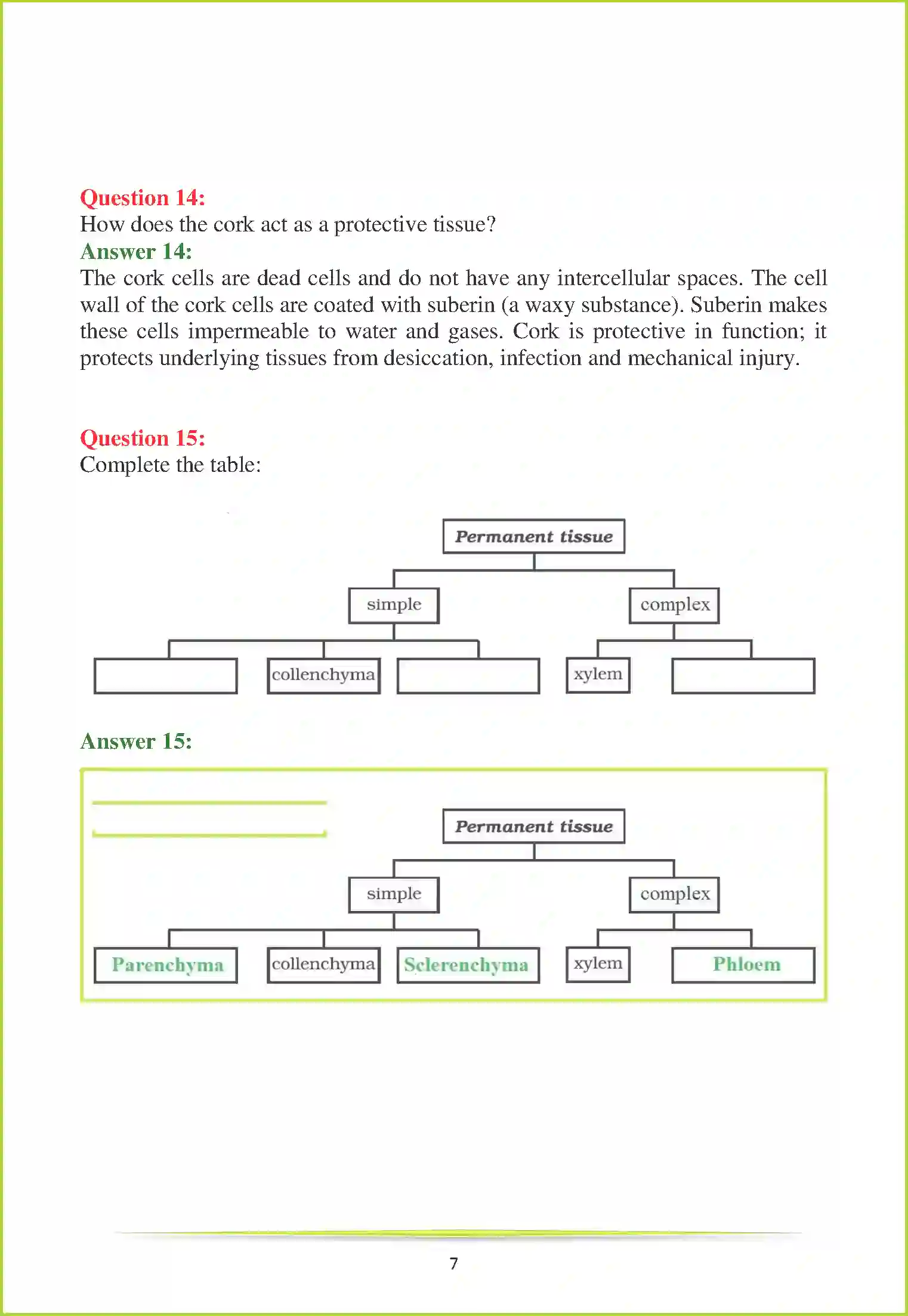 NCERT-Solution-Class-9-Science-Chapter-6-Tissues-1048-page-11