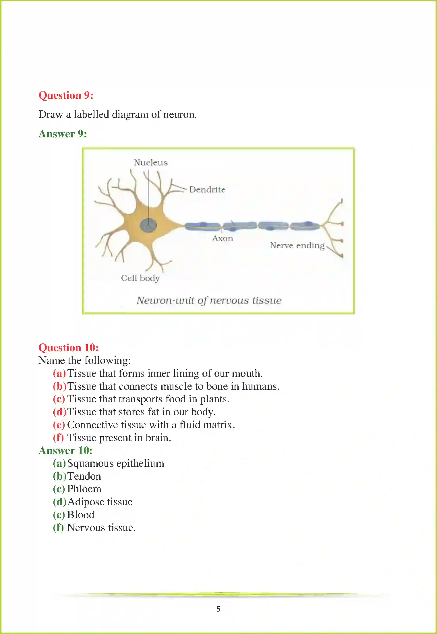 NCERT-Solution-Class-9-Science-Chapter-6-Tissues-1048-page-9