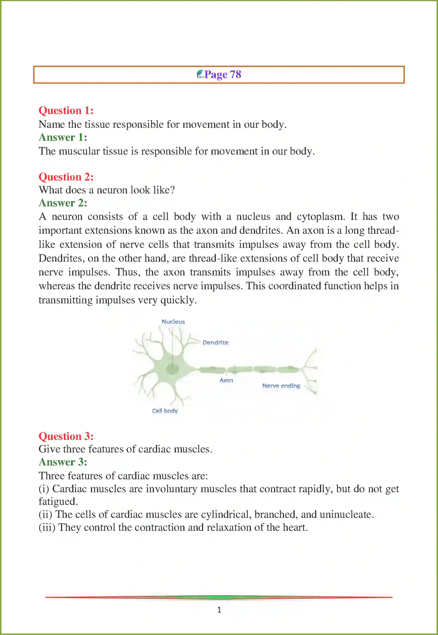 NCERT-Solution-Class-9-Science-Chapter-6-Tissues-3220-page-3