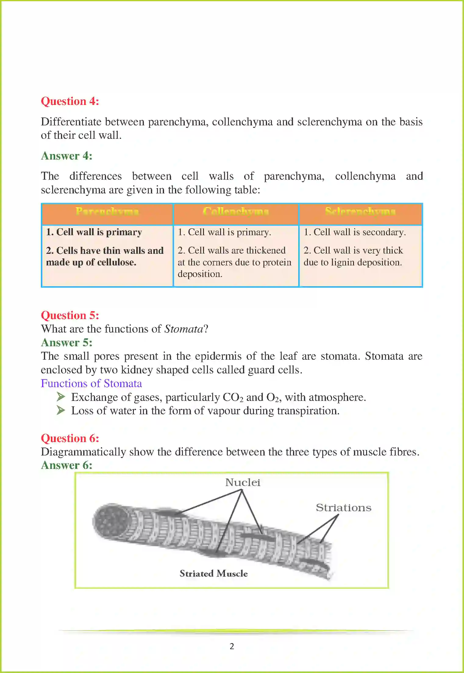 NCERT-Solution-Class-9-Science-Chapter-6-Tissues-3220-page-6