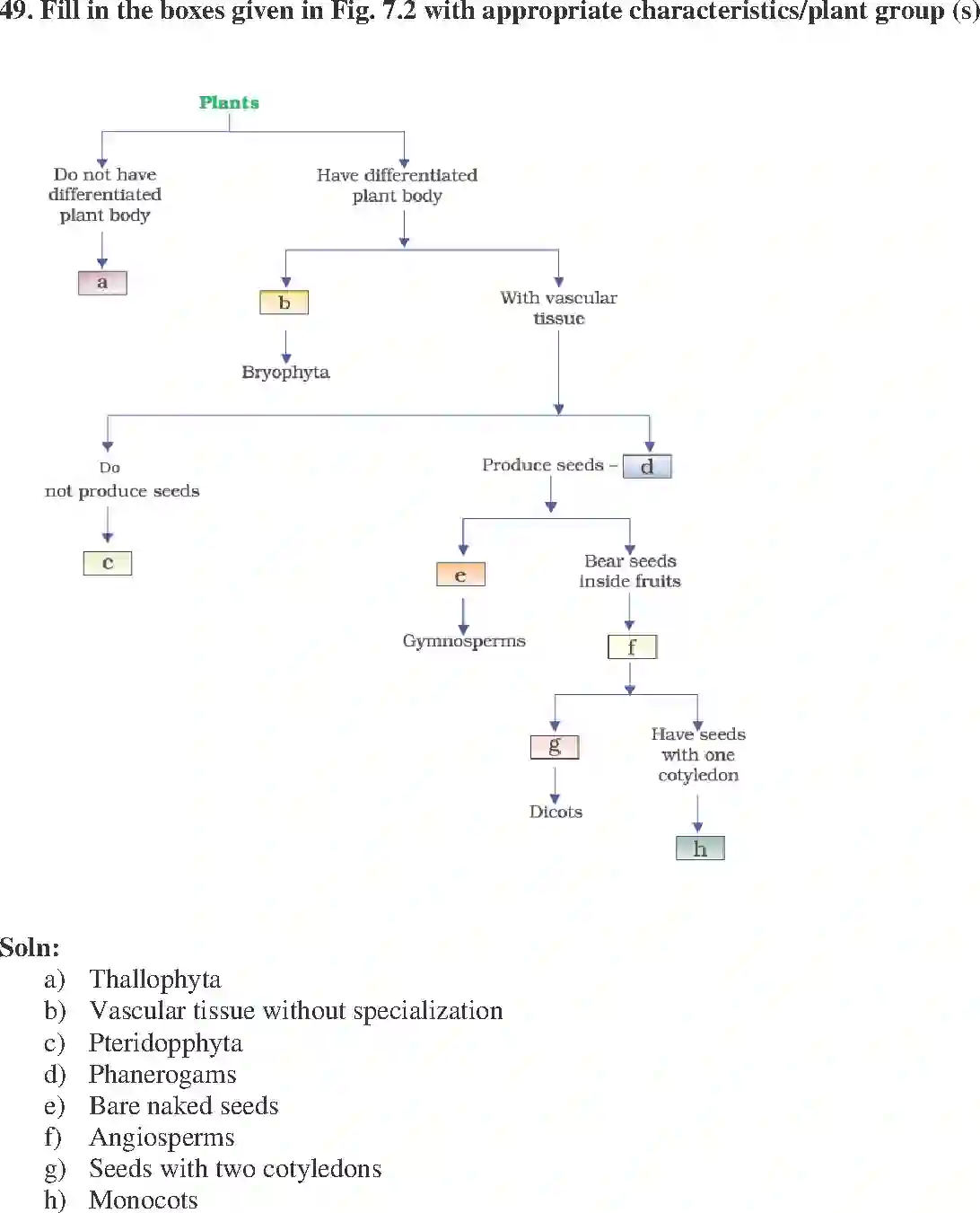 NCERT-Solution-Class-9-Science-Exemplar-Diversity-in-Living-Organisms-Exemplar-1230-page-18