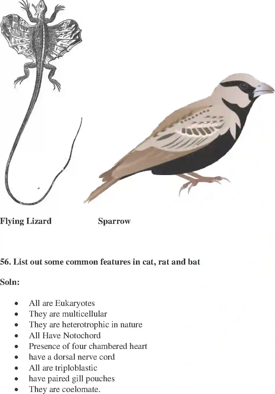NCERT-Solution-Class-9-Science-Exemplar-Diversity-in-Living-Organisms-Exemplar-1230-page-22