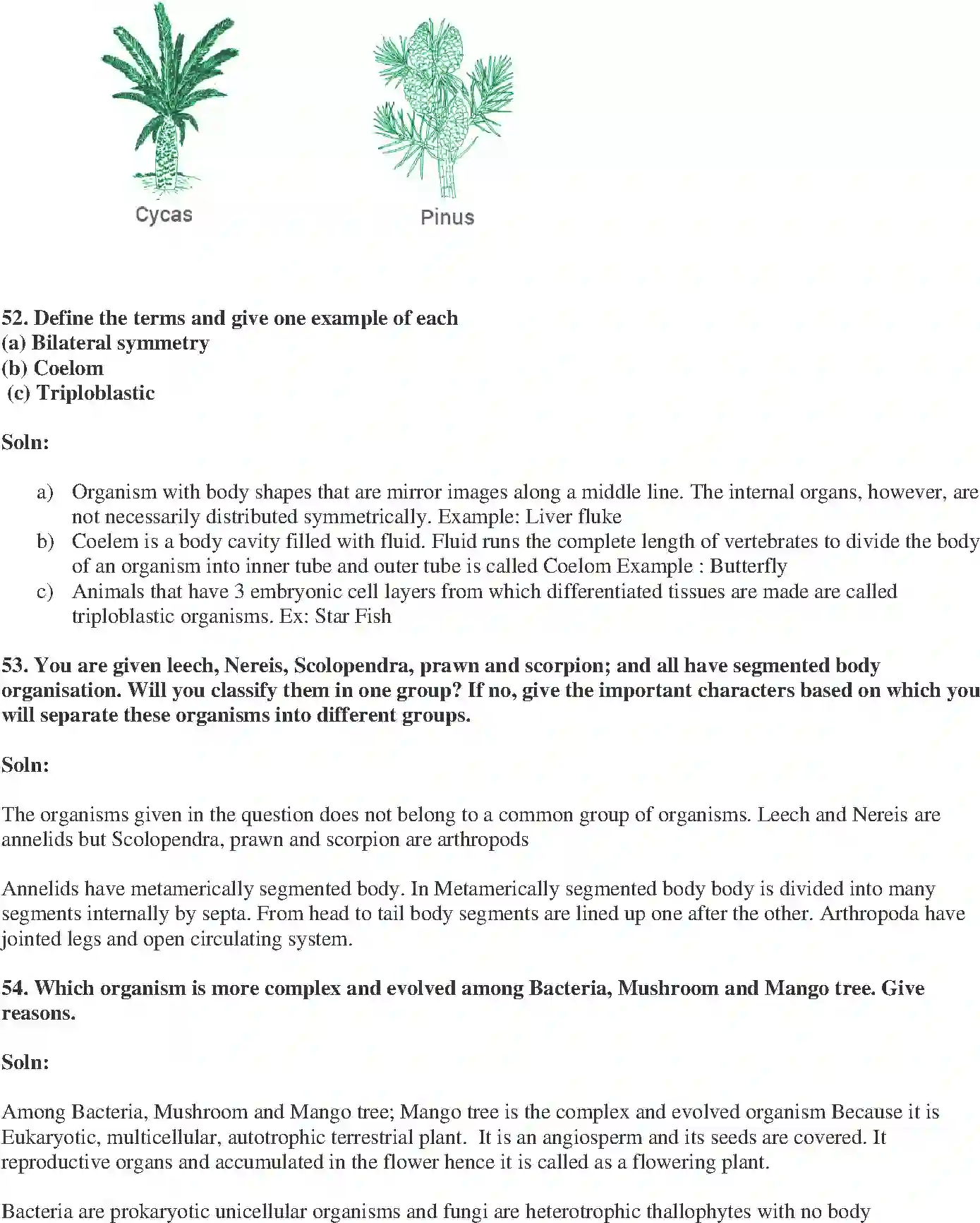 NCERT-Solution-Class-9-Science-Exemplar-Diversity-in-Living-Organisms-Exemplar-3402-page-20