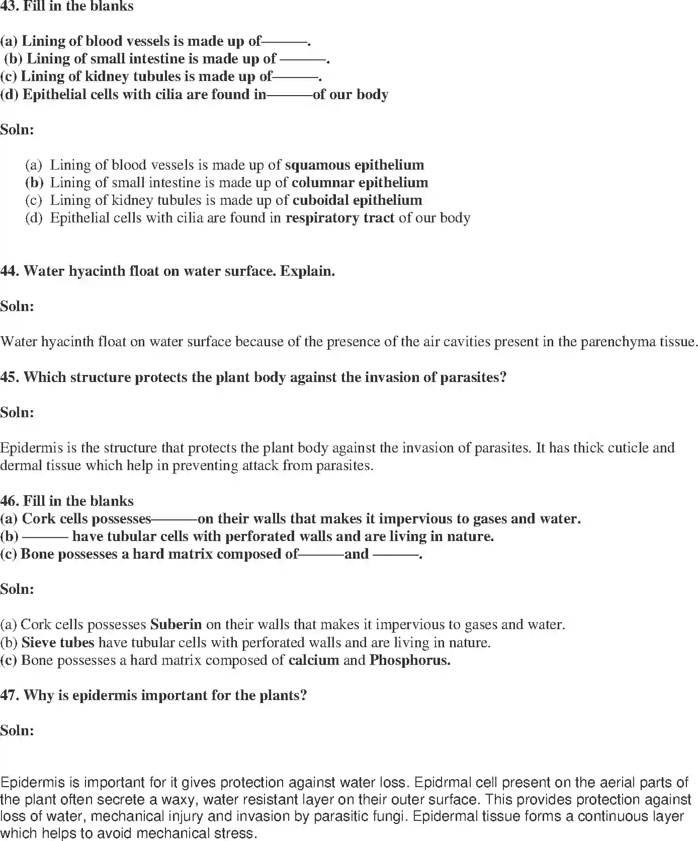 NCERT-Solution-Class-9-Science-Exemplar-Tissues-Exemplar-1229-page-15