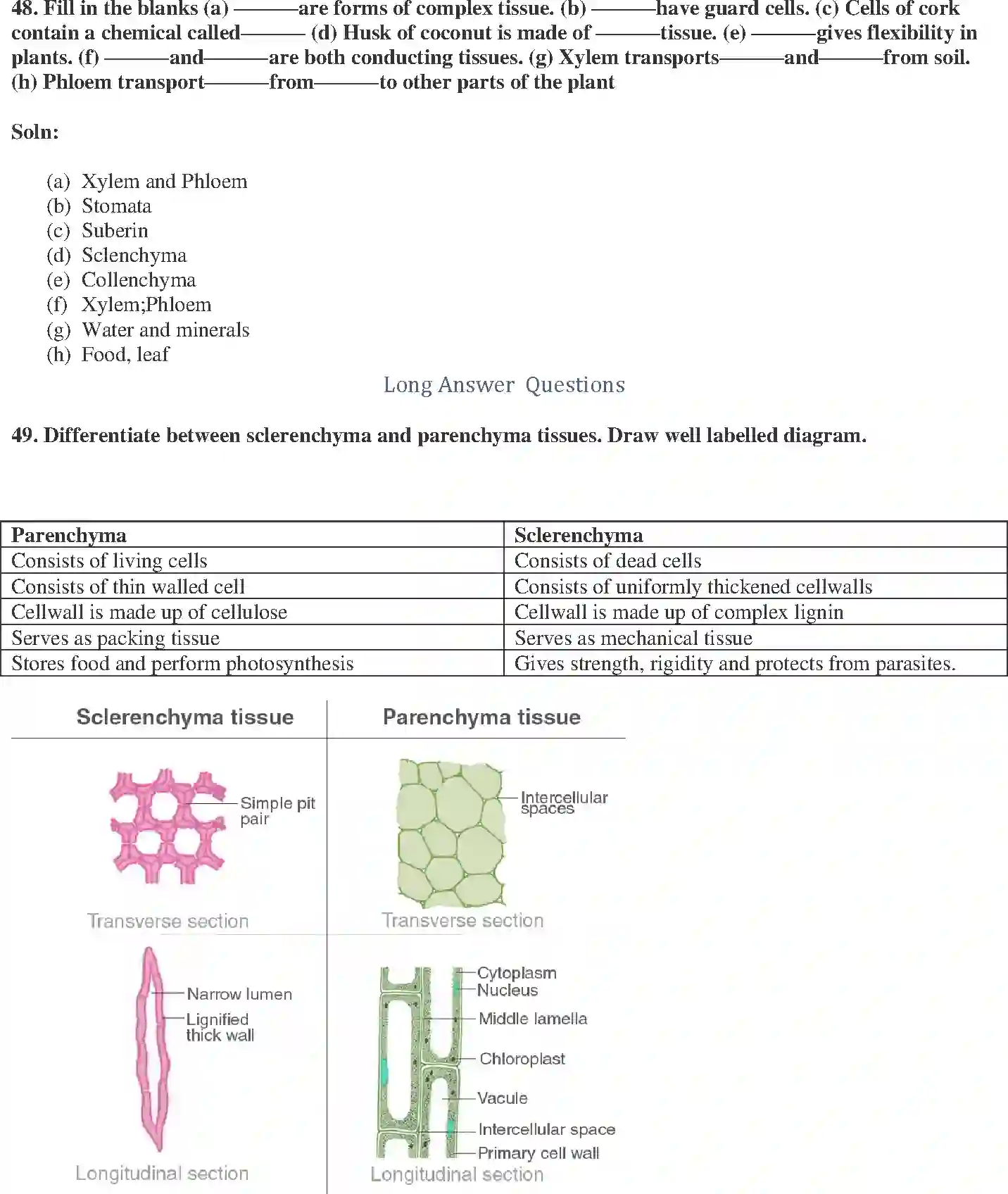 NCERT-Solution-Class-9-Science-Exemplar-Tissues-Exemplar-1229-page-16