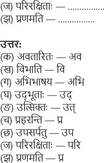 NCERT-Solution-Class-9-Shemushi-Pratyabhigyanam-1255-page-5